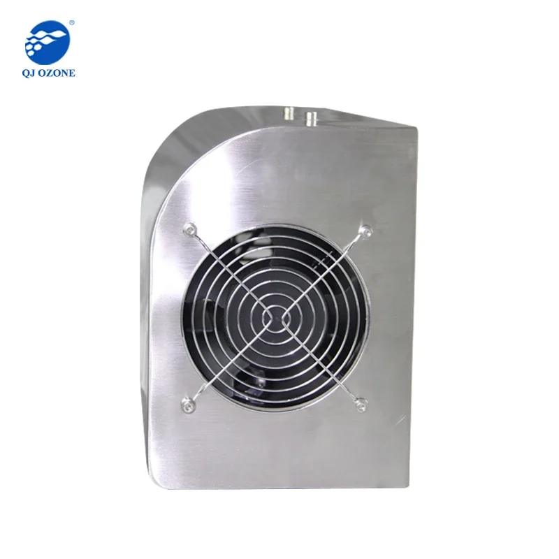 Wall Mounted Ozone Generator 5g For Sterilization And Disinfection