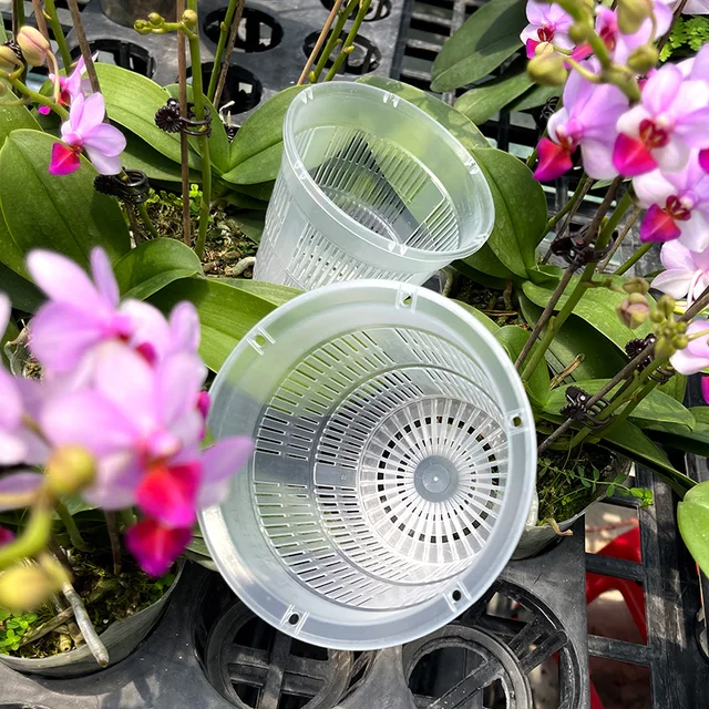 Control Gyökér Átlátszó Virágcserép Tálcákkal Műanyag Virág Edény Orchidea Ültetvénye Lélegző Növényi Növekedési Konténerkert Szerszámok - Image 3