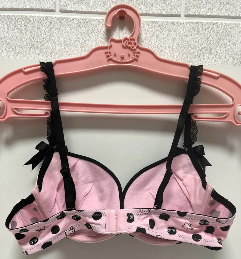 Hello Kitty Kawaii Underwear Woman Sexy Pink Bra Girlfriend Student Inside  Clothes Vest Cartoon Fashion Soft Comfortable Gift - AliExpress