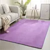 Coral Fleece Carpet Custom Size, Please Specify The Size Before Ordering 1