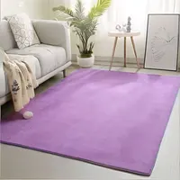 Coral Fleece Carpet Custom Size, Please Specify The Size Before Ordering 1