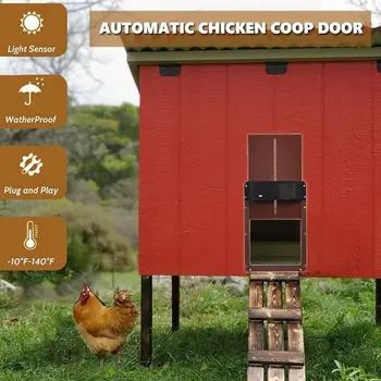 Auto Coop Door 1