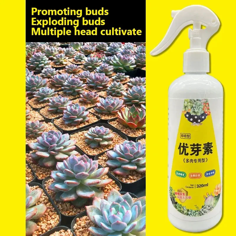 Root Stimulator Plant Fertilizer Sticks Plant Nutrient Solution Plant Compound Fertilizer Succulent Plant Eugenin Promotes Budding Dwarf Fat Prevents Leggy Organic Granules 320ml