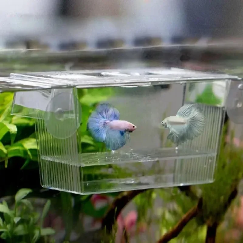 1 Pc Empty Acrylic Fish Tank Breeding Isolation Box Aquarium Transparent Suction Mount Hatchery Incubator Case