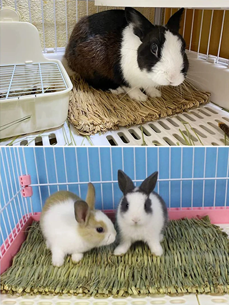 Natural Straw Grass Mat for Small Animals - Woven Hay Bedding and Resting Mat