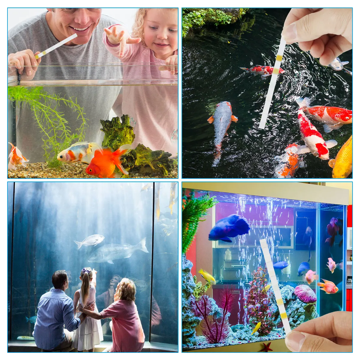 Aquarium Test Strips 5/6/7 in 1 Fish Tank Test Kit Freshwater Saltwater Aquarium Water pH Strips Kit for Total 100Pcs aquarium test strips