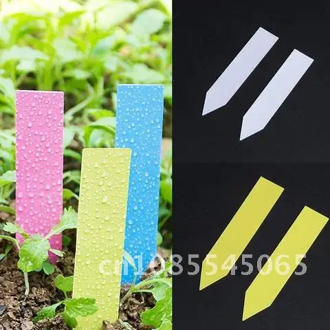 

100 Garden Plant Labels Plastic Tags Nursery Markers Flower Pots Seedling Labels Tray Mark Tools 5*1cm Pcs