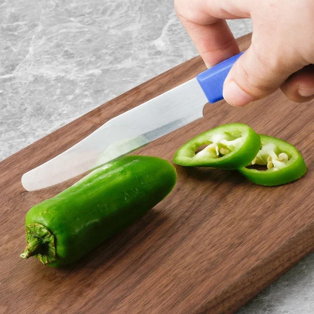 Stainless Steel Fruit Knife Peeler with Rustproof Handle