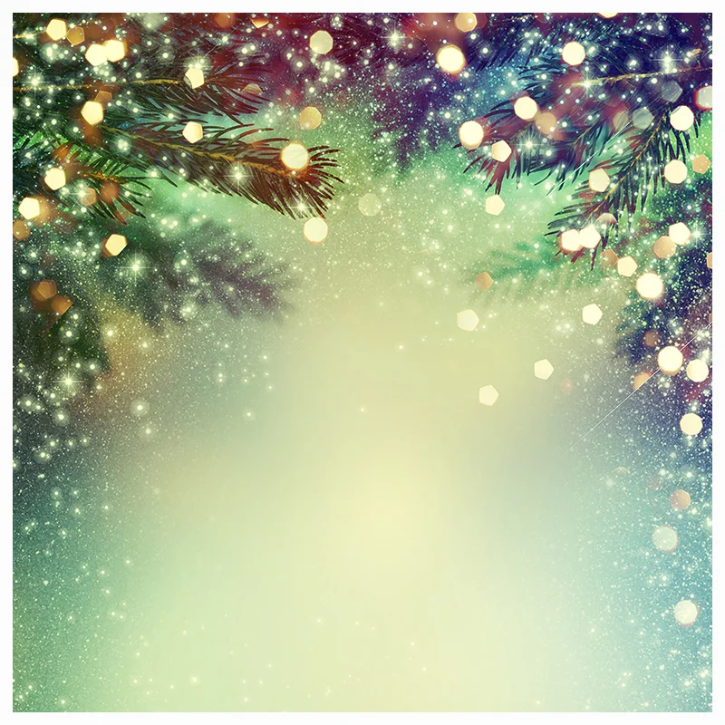ũ   ǰ  ܿ       Photostudio KUCUN-01