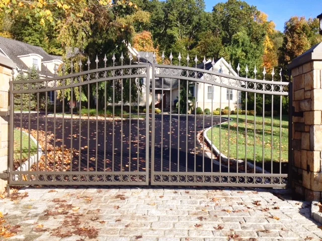 Hot Selling Iron Main Gate Designs Wrought Iron Gate Lock Iron Gate 2