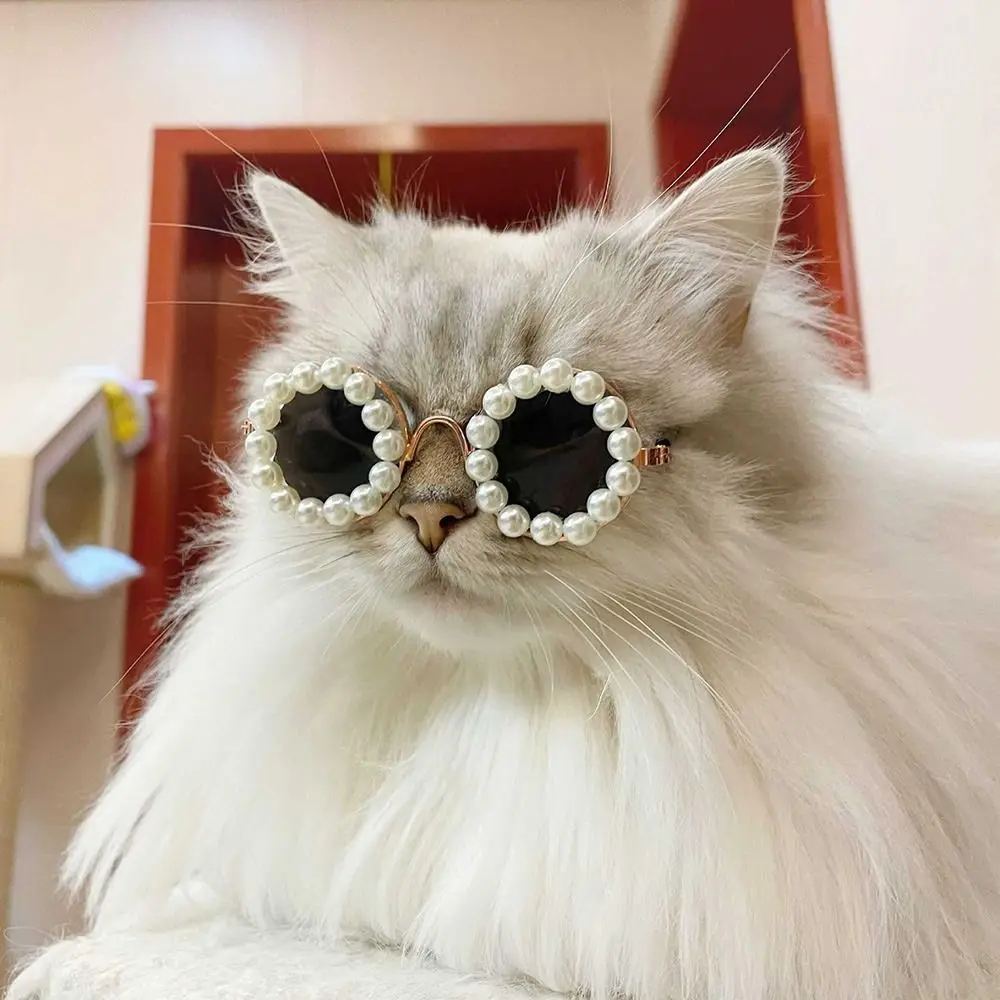 Pearl Glasses Dog & Cats - PeticaDeals