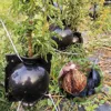 10PCS Tree Root Growing Box Reusable Rooting Ball Grafting Tools Asexual Reproduction Device High Pressure Propagation Ball Box 5