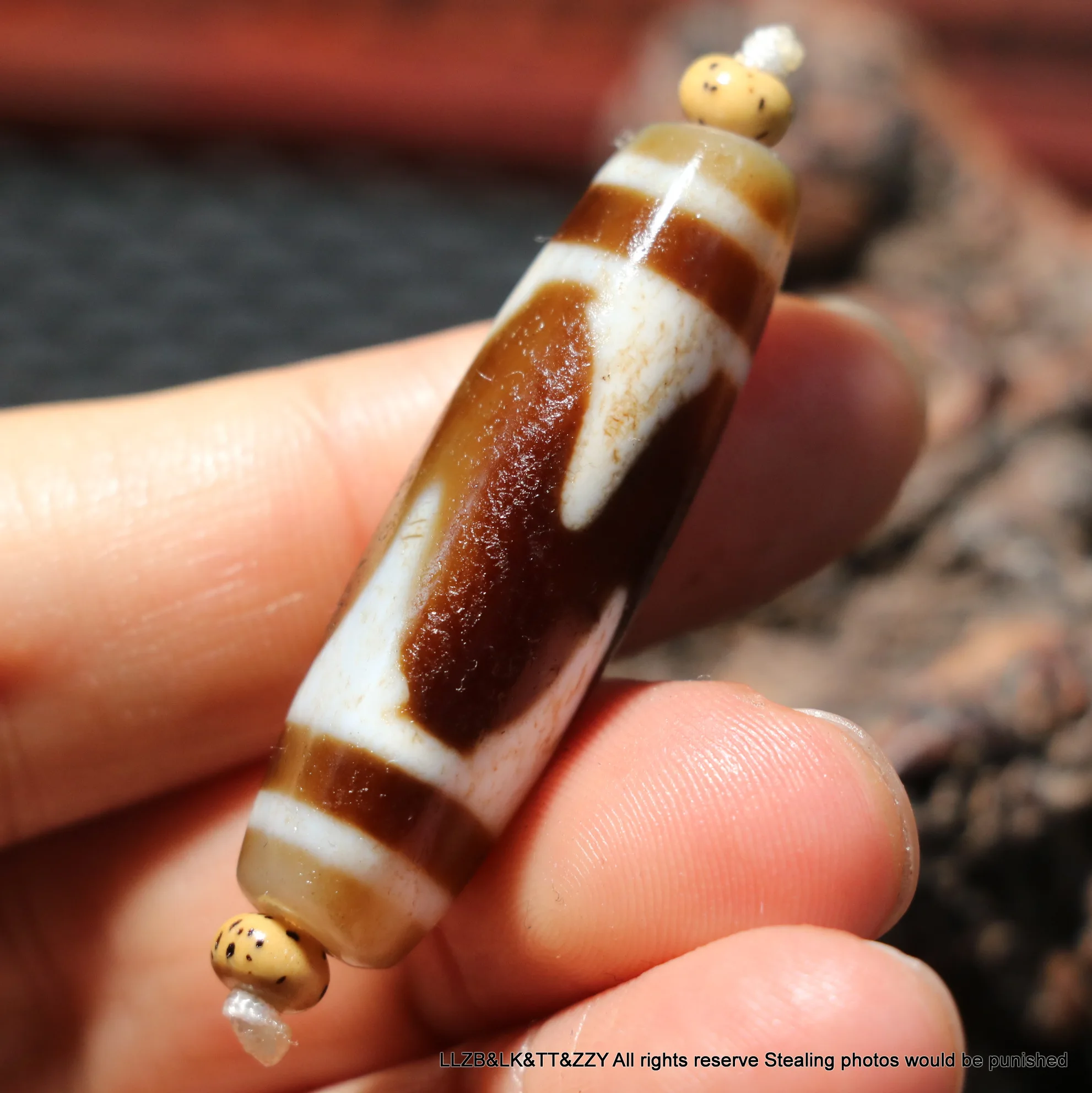 

Тибетский двойной тигровый зуб Magic Power, двойной тигровый зуб, оболочка для ювелирных изделий T5 Timestown UPD210607A17