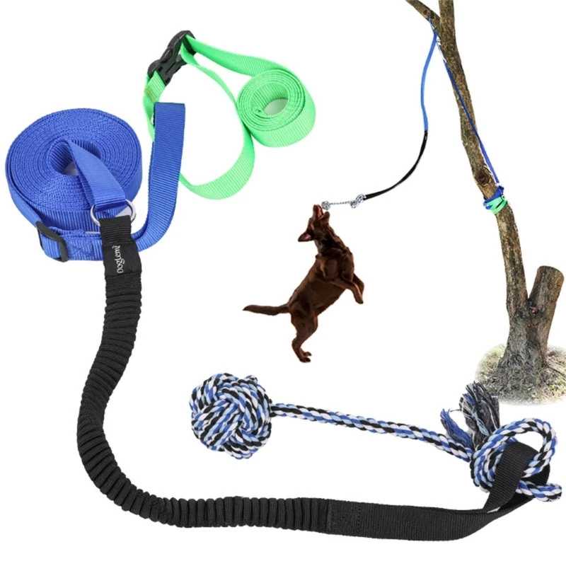 

Dog Bungee Toy Training Interactive Game for Dog Teething Chew Pull Toy