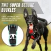 Dog Collars Harness Big Vests Leash Pet Shop Everything for Dogs Leather Puppy Accessories Medium Small Set 5