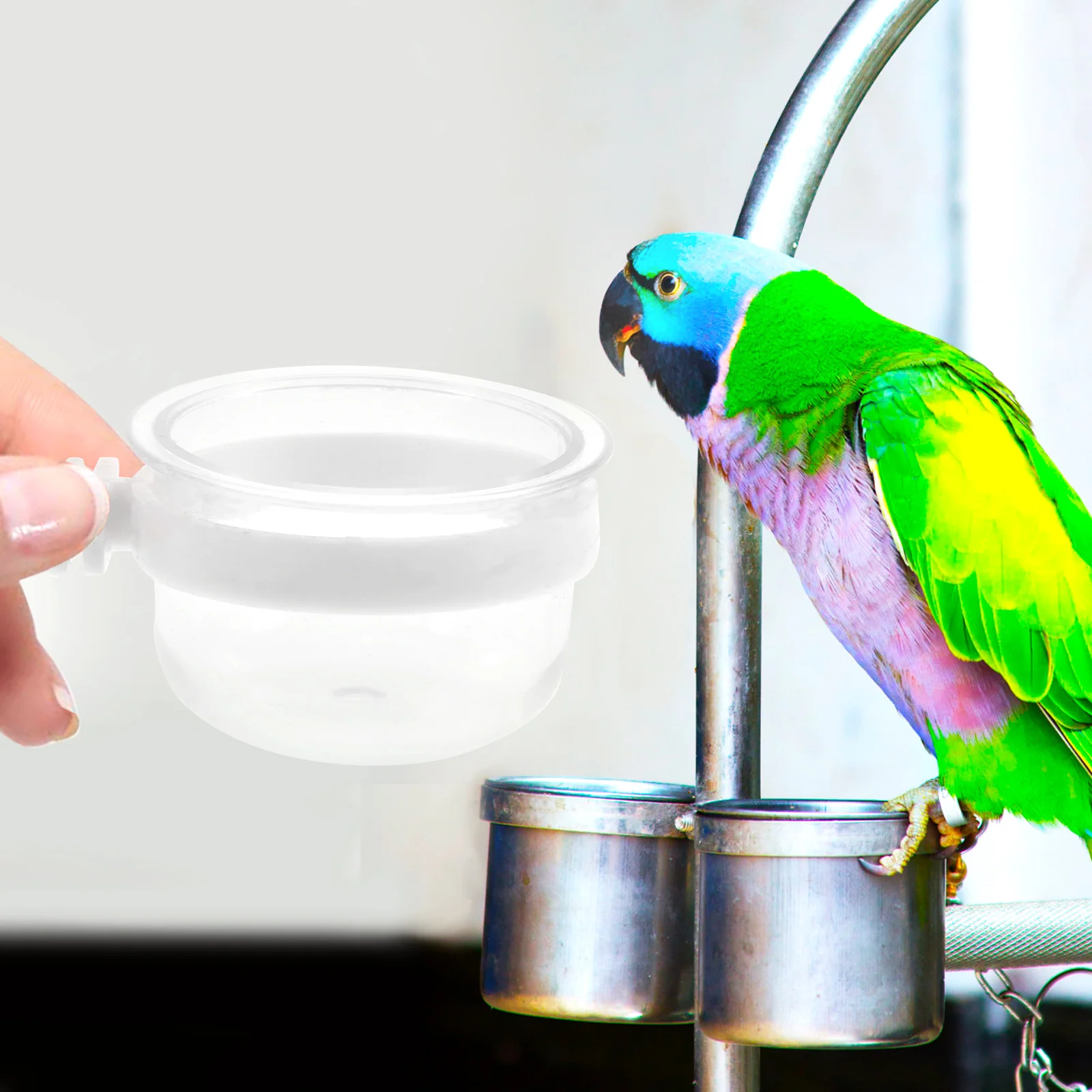 Removable Clear Bowl Plastic Food Cup Parrot Waterer Bird Cage Feeder Accessories Cockatiel Supplies Pet Products Pigeon