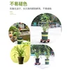 1 Pc Durable Creative Climbing Vine Rack 30cm Plastic Coated Iron Plant Support Frame Garden Balcony Plant Flower Trellis 2