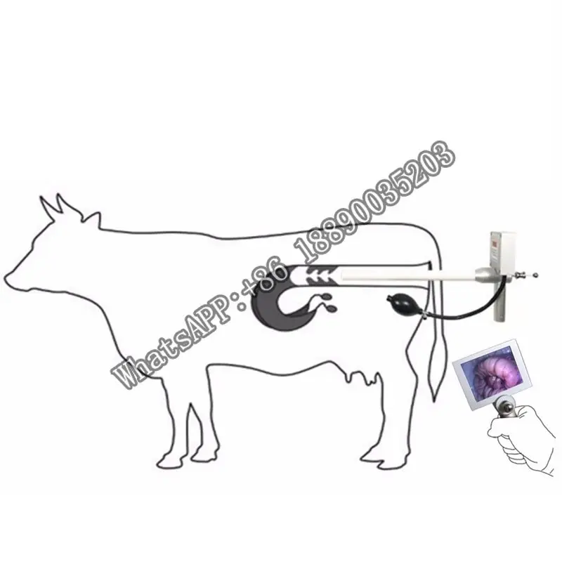 

Cheap Video insemination gun for animals Dog Cow horse sheep Pet Veterinary artificial insemination device pistola inseminacion