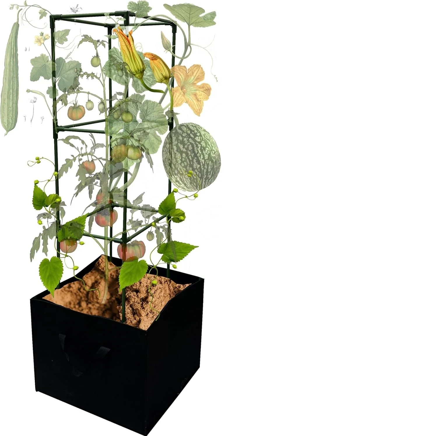 3 Pack Tomato Cages with Grow Bags, Tomato Planter, Trellis,48 inch