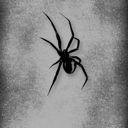Spider Design Waterproof Motorcycle Stickers - Cool Vinyl Decals for Side Panels and Fuel Tank Decoration (LK - SP - Black - G)