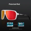 Polarized- 05