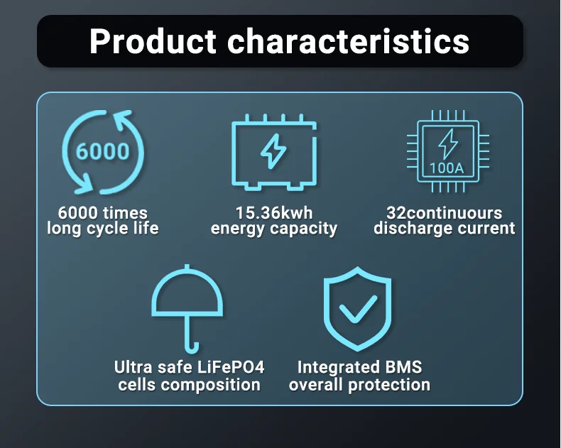 ANENJI 16KWh Lithium-Eisenphosphat 51,2V 300AH A+-Qualität 6000+ Zyklen Solar-Heimenergiespeicher Lithium-Eisenphosphat EU-Lagerbestand – Detail 4