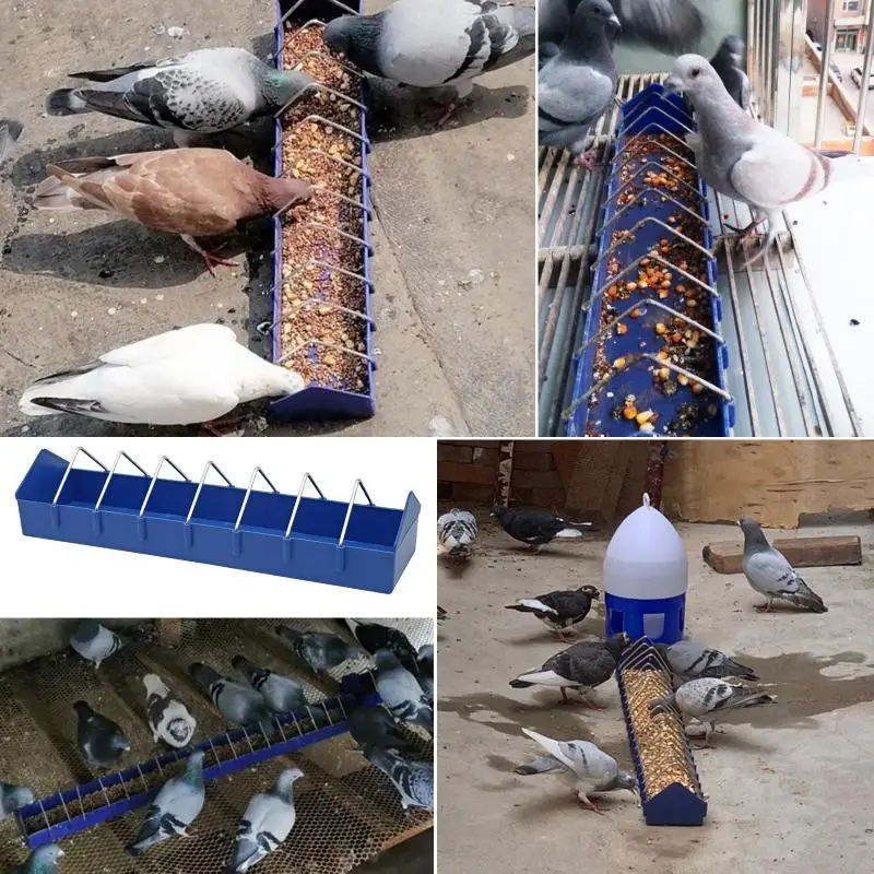 40cm Pigeon Chicken Quail Parrot Bird Peacock Poultry Feeder Pigeons Feeding Trough Dove Supplies