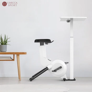Recumbent Exercise Bike with Desk Table 1