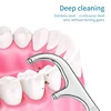 Stainless Steel Toothpick Set Tooth Flossing Reusable Toothpicks Portable Toothpick Floss Teeth Cleaner Oral Cleaning 3