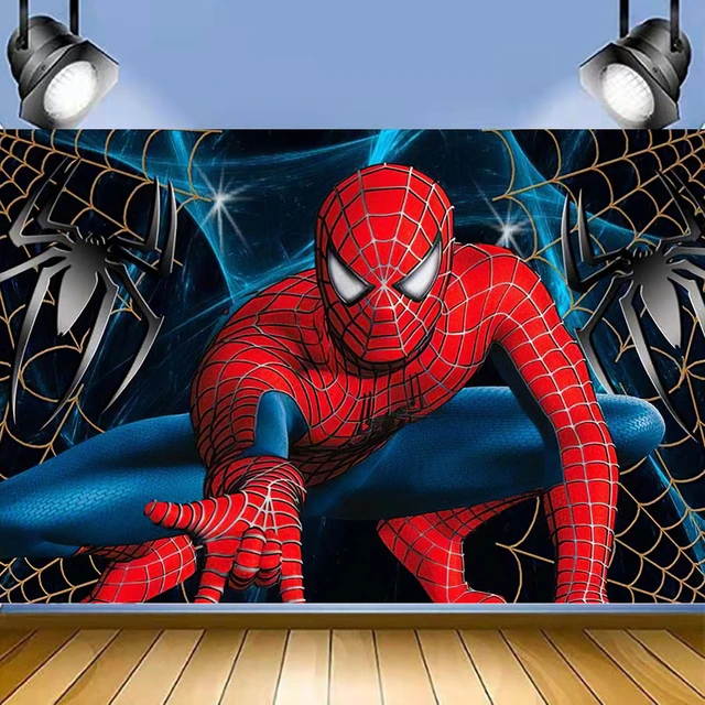 Full Drill 5D DIY Diamond Painting Spider Man Prter India