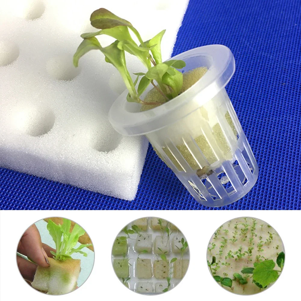 

100 White Seedling Sponge Soilless Hydroponic Nursery Pots for Vegetables Seedlings Cloning Collar Garden Cultivation Plant Pot