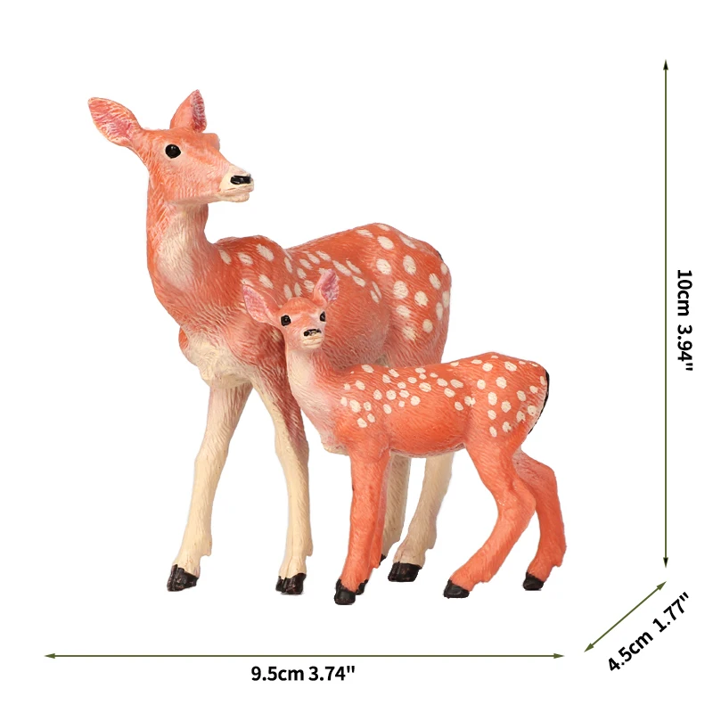 Sika deer