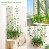 10-50Pcs Plant Climbing Wall Fixture Clips Acrylic Sticker Self-Adhesive Hook Plant Vine Traction Holder Indoor Outdoor Decor 4