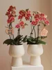 Nordic Creative High Foot Simple White Ceramic Flower Pot, Light Luxury Home Room Decoration, Modern Decorative Vase ins 1