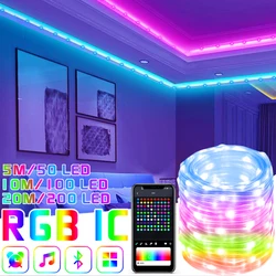 RGB IC Christmas Lights for Tree Led Fairy String Lights Christmas Tree Decor New Year's Eve 2024 Party Outdoor Camping Lights
