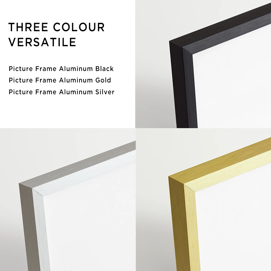 Gold Black Silver Metal Floating Painting Picture Frames Canvas Prints Oil Paint Wall Art