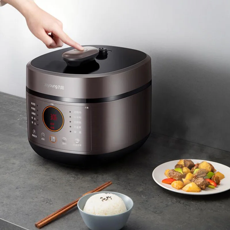 5L Large Capacity Electric Pressure Cooker 2 Inner Pots Multifunctional Smart High Pressure Cooker Meat Slow Intelligent