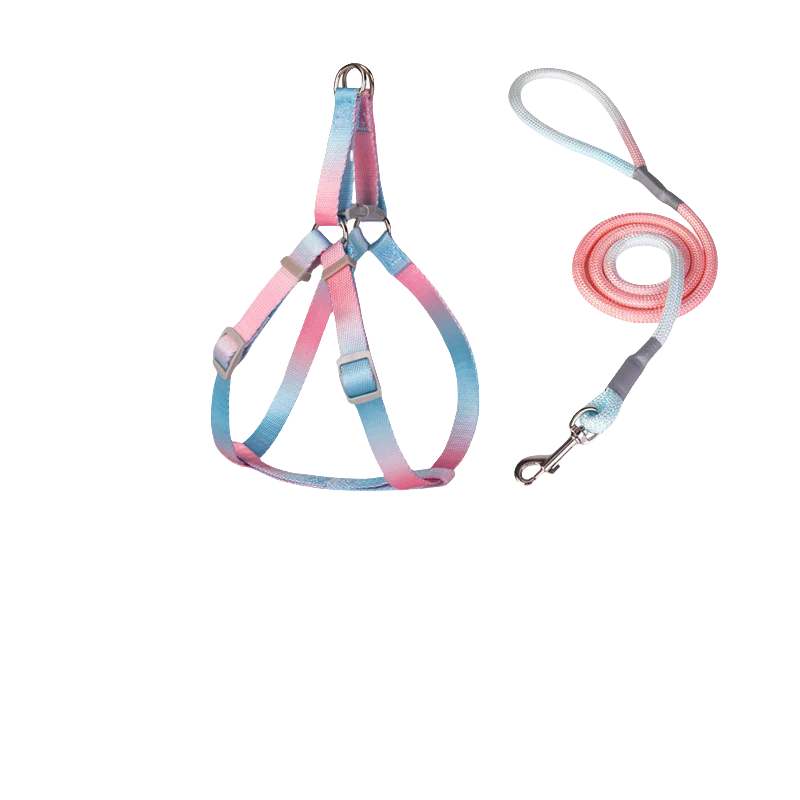 Adjustable Indoor/Outdoor Pet Leash and Harness Set – Break-Free Design, Vibrant Colors