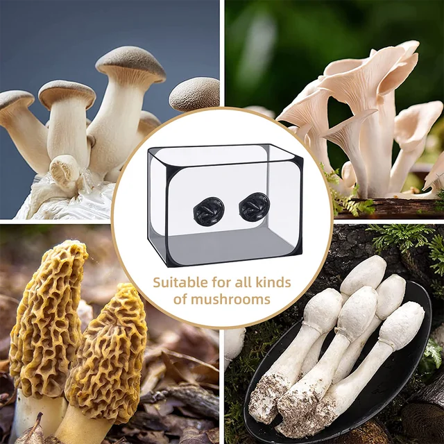 Nagy Gombatermesztés Still Air Box-Pop Up Gomba Növekvő Sátorkészlet-Hordozható Gombatermesztési Tartály Kertészeti Kellékekhez - Image 4