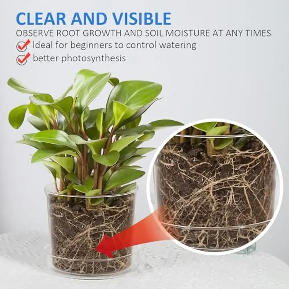 Glass Planter Pot Set Clear Plant Container with Tray Modern Indoor Outdoor Decor Drainage Holes & Saucer Included