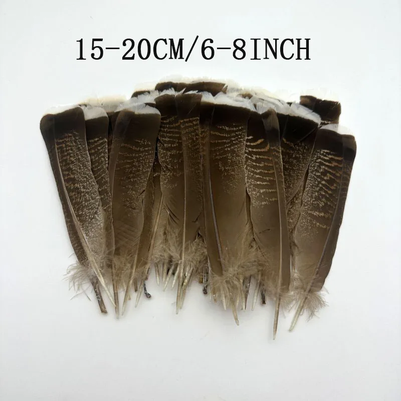 15-20cm