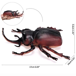 Large Insect Animal Figurines Set - Spider, Scorpion, Ladybug, Dragonfly, Beetle - Educational and Halloween Toy (Rhinoceros beetle)