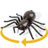 Control Toy for Children RC Remote Control  Novelty Tortoise Ants  Spiders Crabs Model Kids Boys Girl Electronic Gift 5