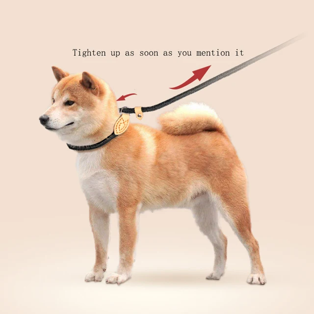 Rope Collar Leash 2