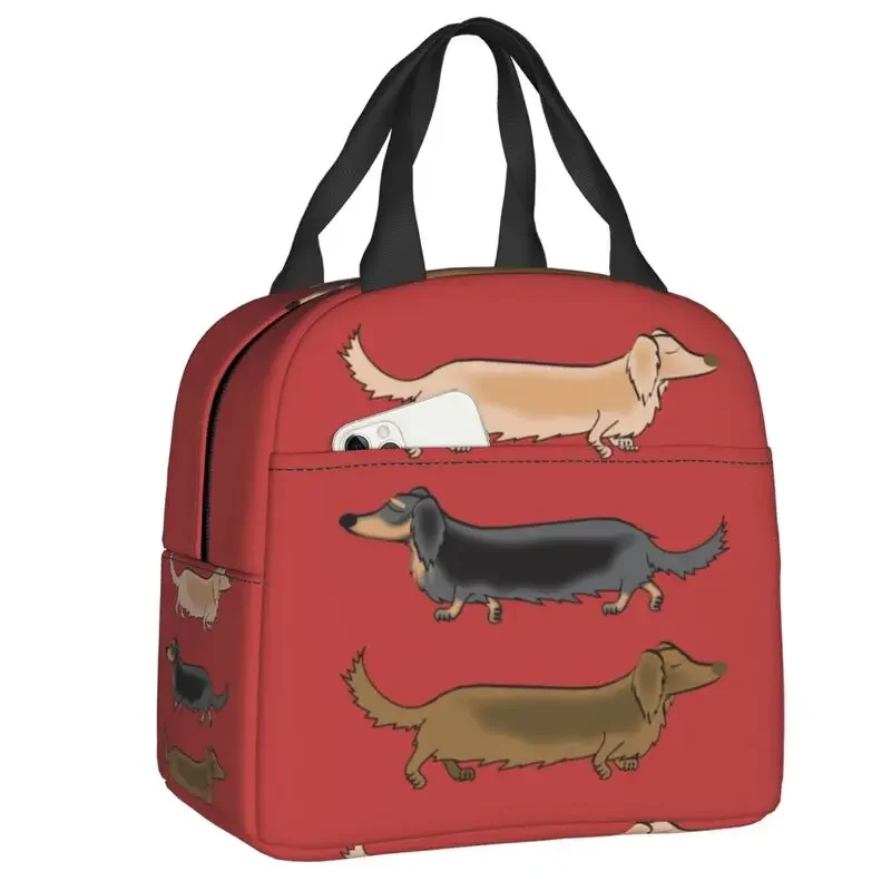 

Dachshund Dogs Insulated Lunch Tote Bag for Women Wiener Sausage Dog Portable Cooler Thermal Bento Box Work School Travel