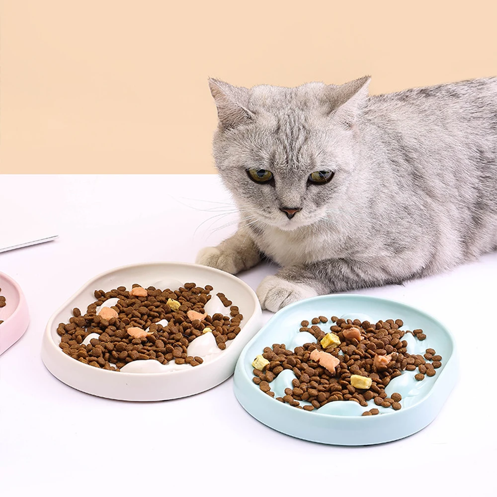 Dog Cat Bowl Anti Choking Slow Food Pet Bowl Bowl Pet Feeder Supplies 6