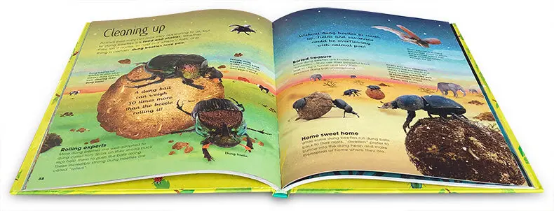 Kids　The　AliExpress　Brilliant　Book　of　Hardcover　Bugs　Picture　Original　English　Book　for