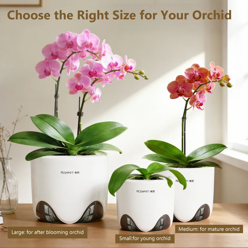 وعاء شبكي 12 سم وعاء أوركيد بلاستيكي داخلي شفاف لز...