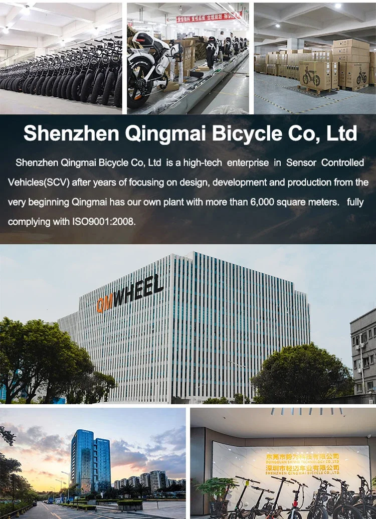 Electric Bike Performance