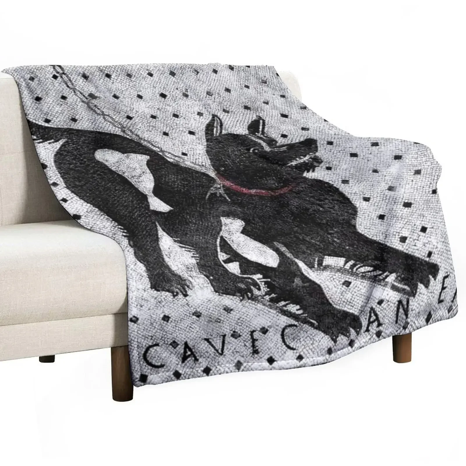

Cave Canem - Beware of Dog - Pompeii Latin Mosaic Throw Blanket fluffy Hairys Soft Plush Plaid Decorative Sofas Blankets